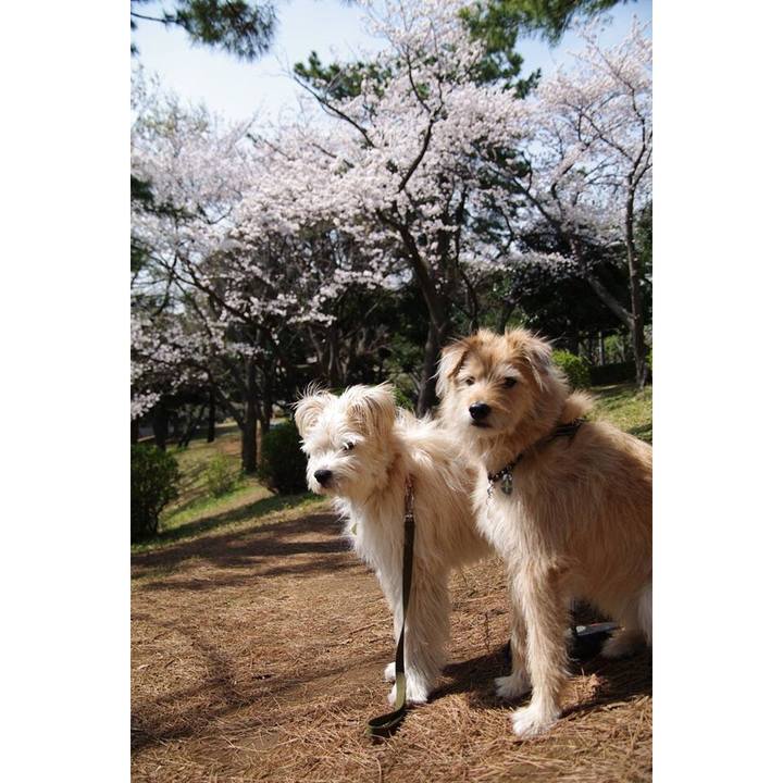 Abed334e 3ab0 459a 9aba 658c69683c88