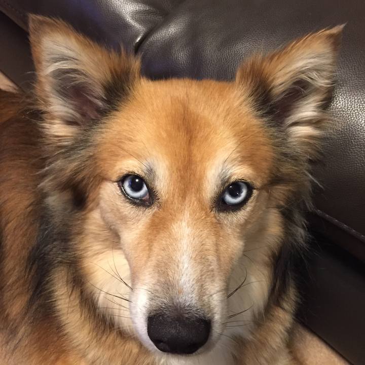 Abed3831 4fc9 464b 8ad8 b1fffd7f0ae8