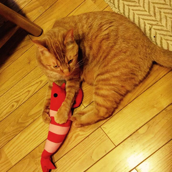 Abeda5ad 7ef9 44fc a3a6 e33bbab7f95c