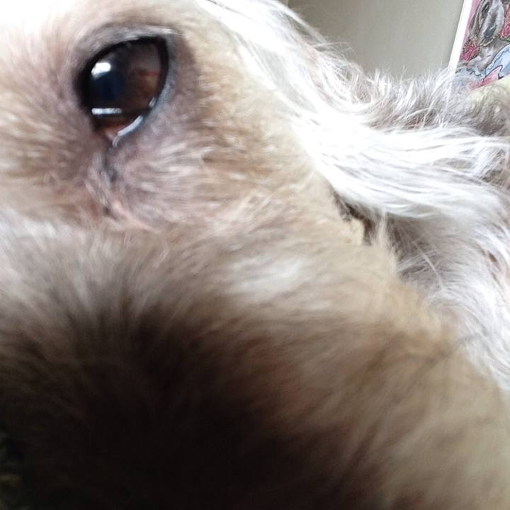 Abee7663 36e6 4931 9a3f ddf55750c0b7