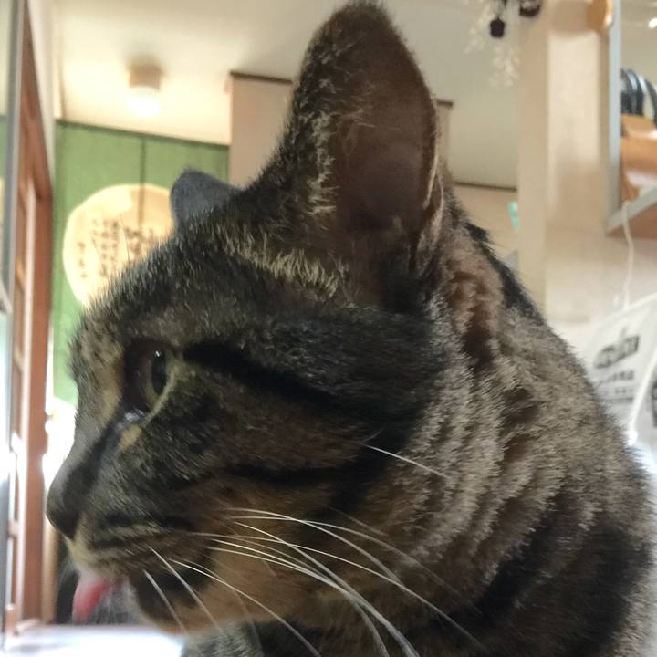 Abef8f80 474c 41c3 90f7 f9b349aca9c5