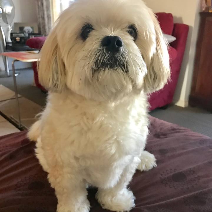 Abefcd9e 69fe 4f7e 867e 205b550a28eb