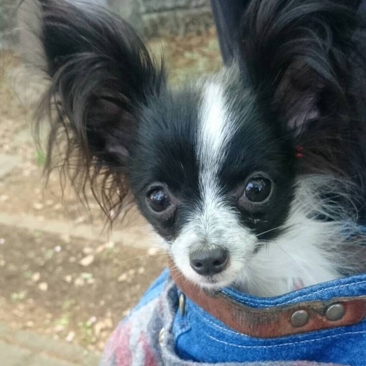 Abf02174 42d2 4cd2 9958 5ddb4883248c