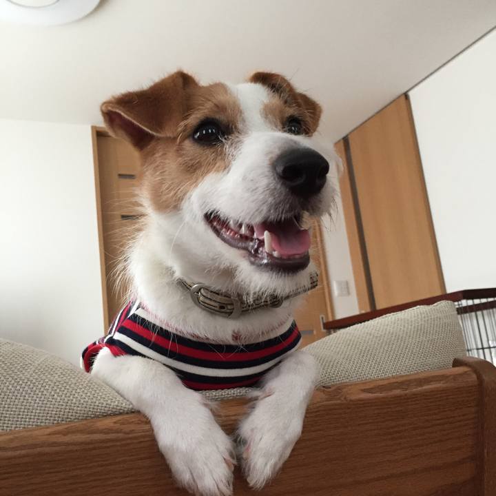 Abf0a289 80b6 4d9d b3e2 3614f55b4a57