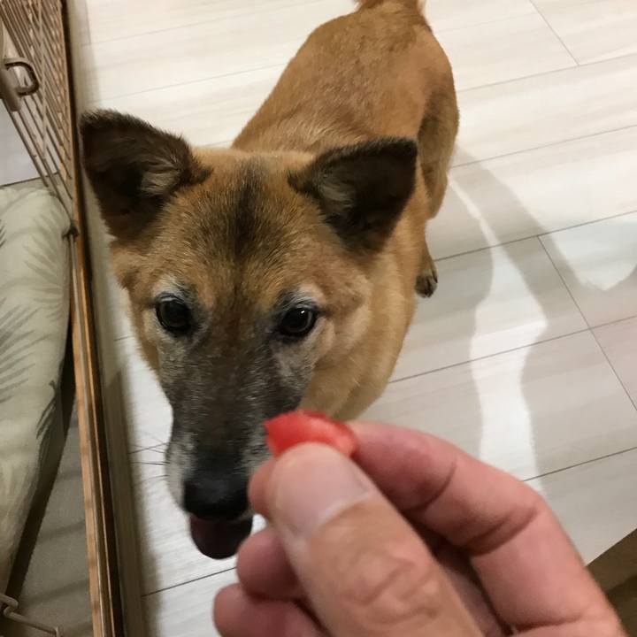 Abf0f633 bdb9 4f6d bb18 675ecab20772