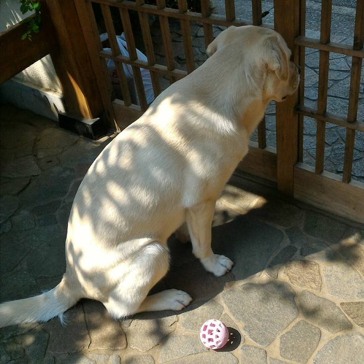 Abf1d1a2 0449 46f8 ac61 118ab20f6f56