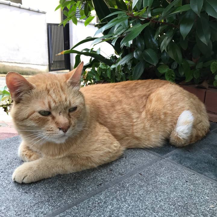 Abf1f988 4fe6 43a3 b1a2 332631a6f52d