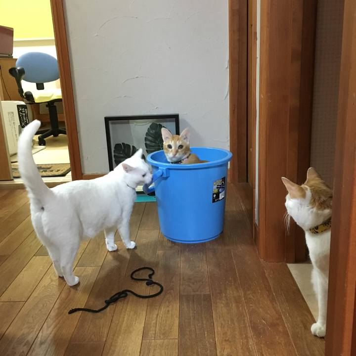 Abf30760 bda5 4219 8b25 5e2dee83f718