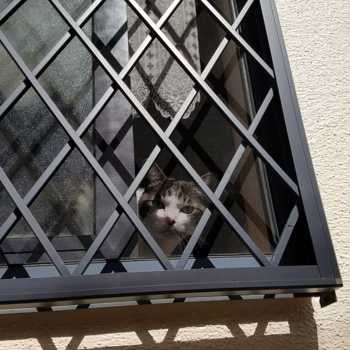 Abf3b133 ccf2 42bb 9b04 facfbc8faaac