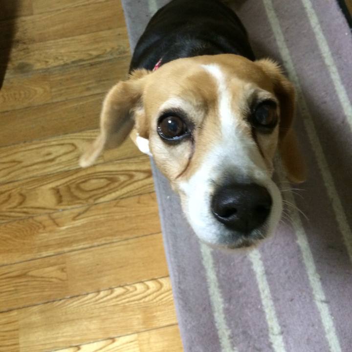 Abf3d3e6 5385 49a7 a7a1 d1325fb86887