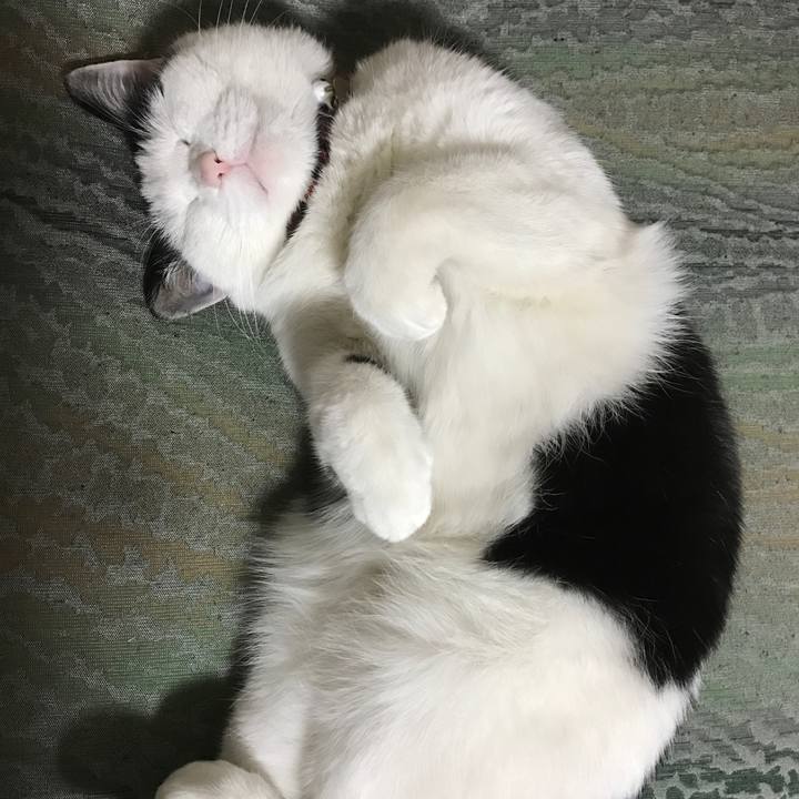 Abf508f5 25b7 4680 8a5f 4c507e587790