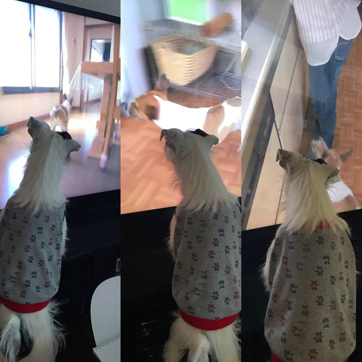 Abf5a270 18ef 4005 a7e6 41b6b6b88e40