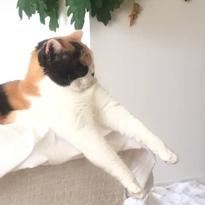 Abf5e8a3 7060 422c b4c7 a93e7bd681fd