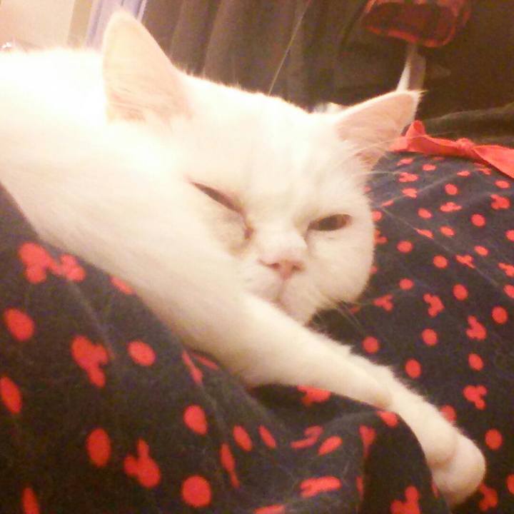 Abf5fe06 a0b8 4310 9992 c7373945f550