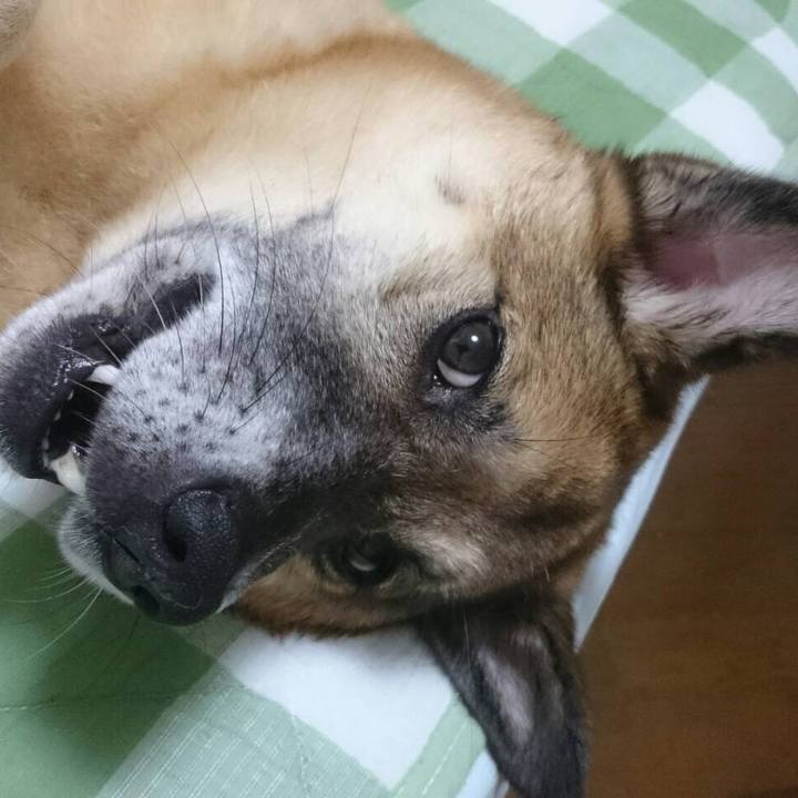 Abf611bf 3ba0 4372 8a01 f58c675fafd3