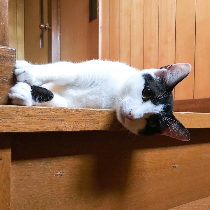 Abf62b95 2476 41f0 9598 c13f1265a5c5