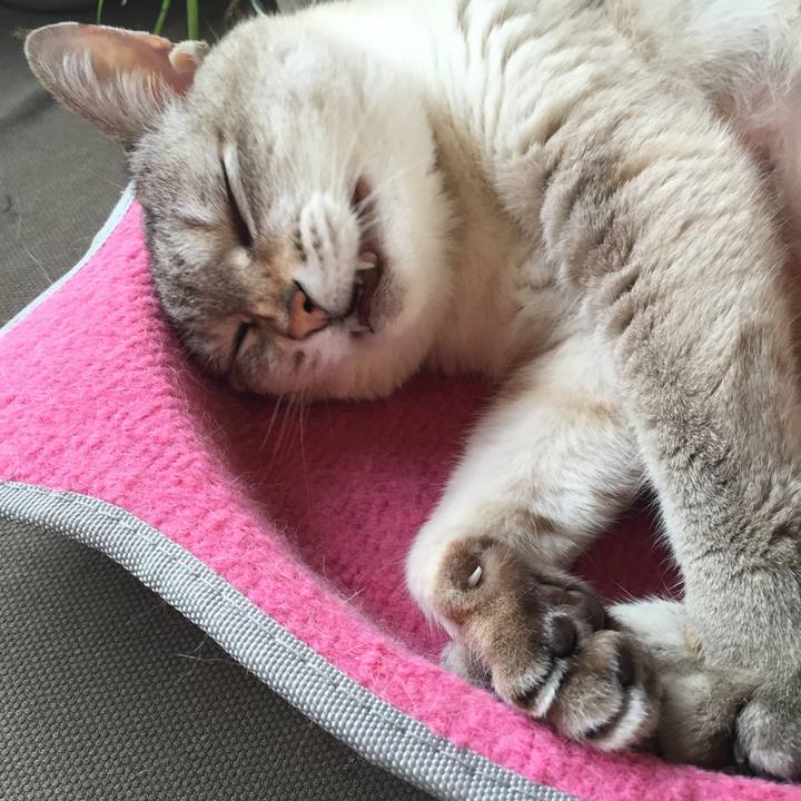 Abf67deb c2ea 4768 a9b8 d02da7c50891