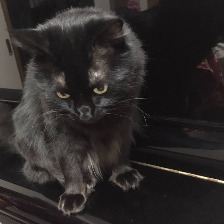 Abf6d799 ba87 4f86 83ea 4209d60dac8f