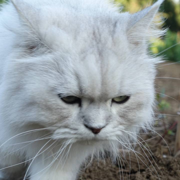 Abf91bed a526 42fc b791 d8b2971e0bf2