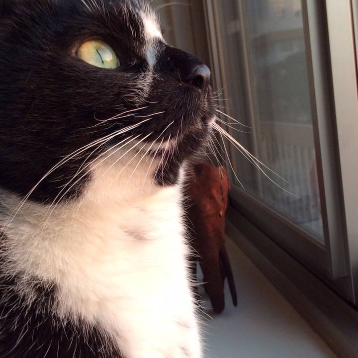 Abf96645 c224 42df b9f1 d3a08091de24