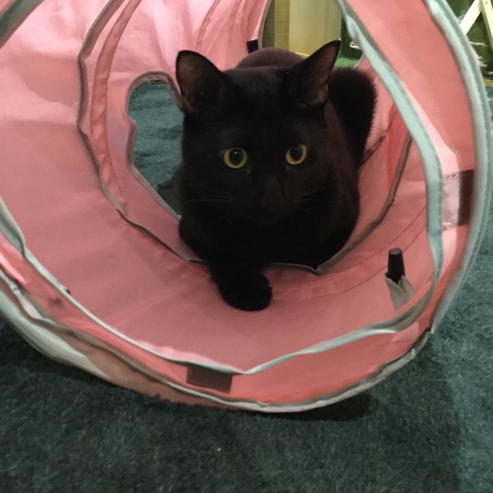 Abf971fb e222 4d5d a0ed 459e20ff46c6