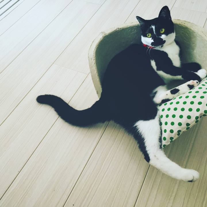 Abf9875c 696d 48db 8e8b 5e09db81abeb