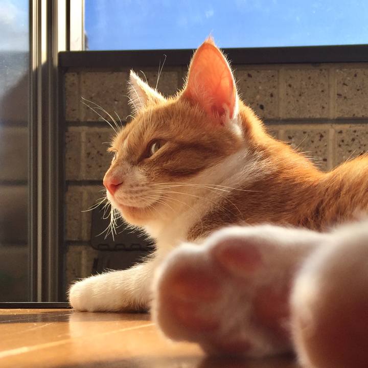 Abf9ab7e a0e2 4630 99d3 3f87a48ba40c