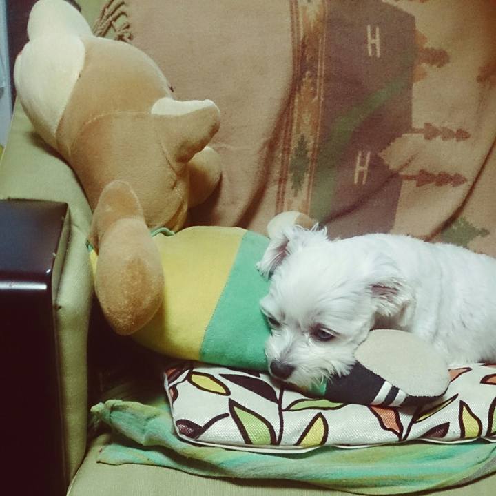 Abf9cd45 a5cc 4711 8e16 23182c505189