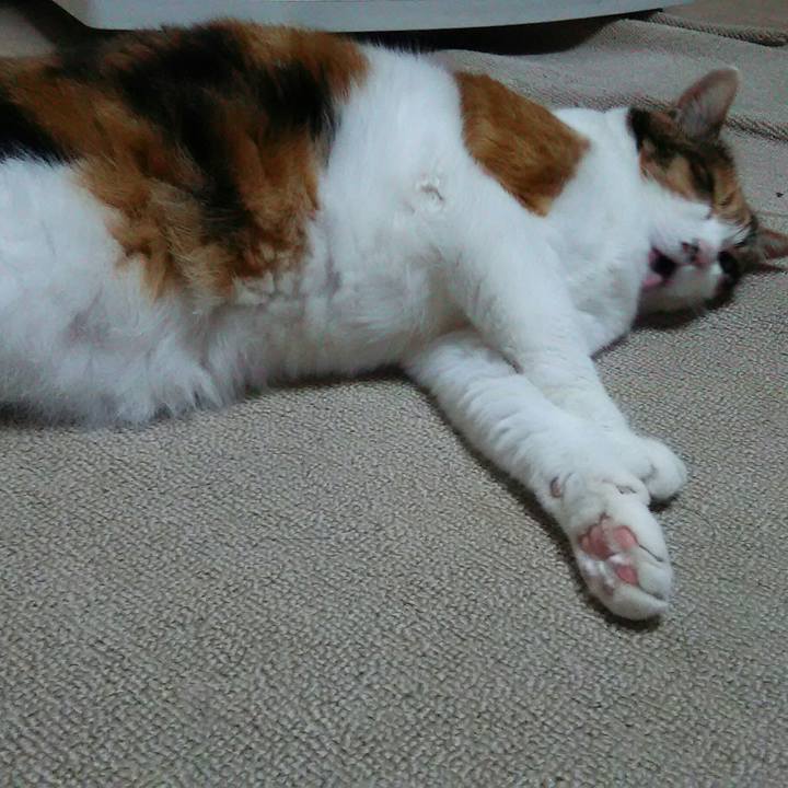 Abfa6907 3c1b 47af 88eb a8b50d12179a