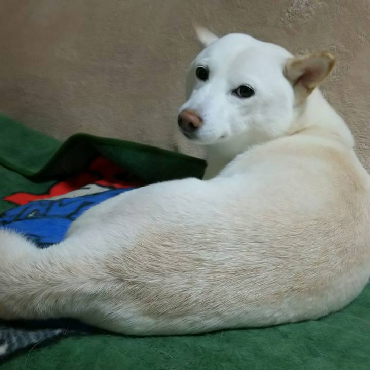 Abfafe00 d110 409d 8d61 c8b57cdef279