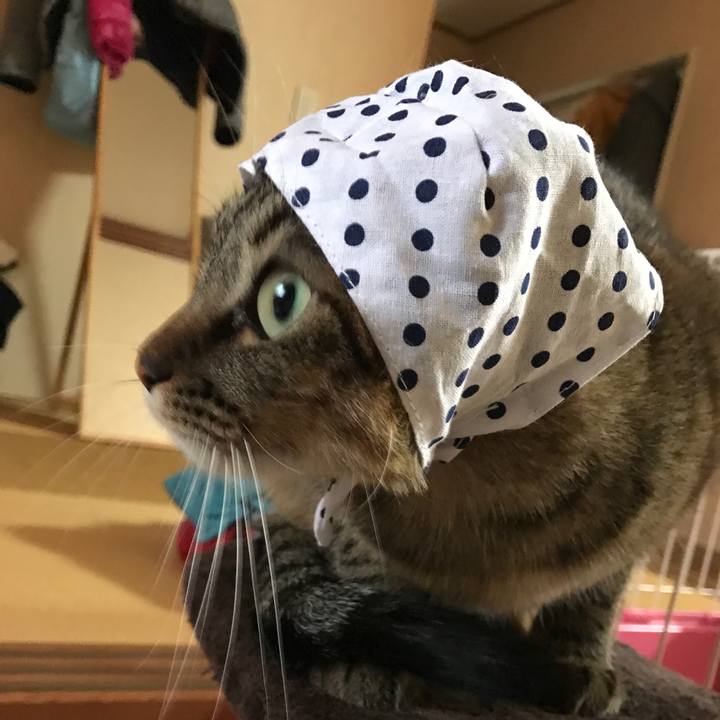 Abfb2edb 95b7 4ea2 ab4a 9e5c4b0e3246