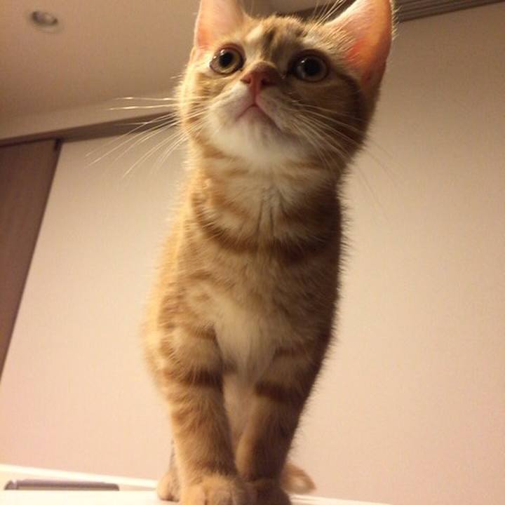 Abfb8951 01ad 46f5 99eb 506f42405190