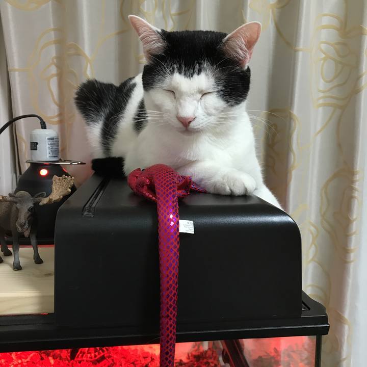 Abfc573d e192 4ba2 b487 cd85fcc68354