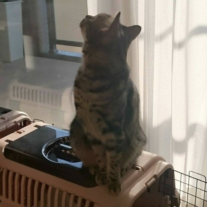 Abfc77c9 725e 4ab9 8da1 e221710b6fae