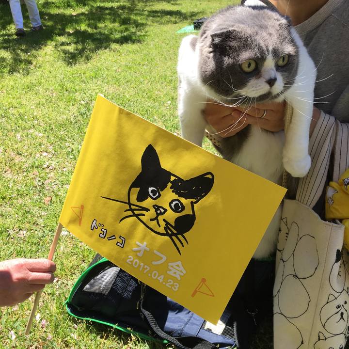 Abfcc749 d929 44a1 a3a4 5de584bfb36c