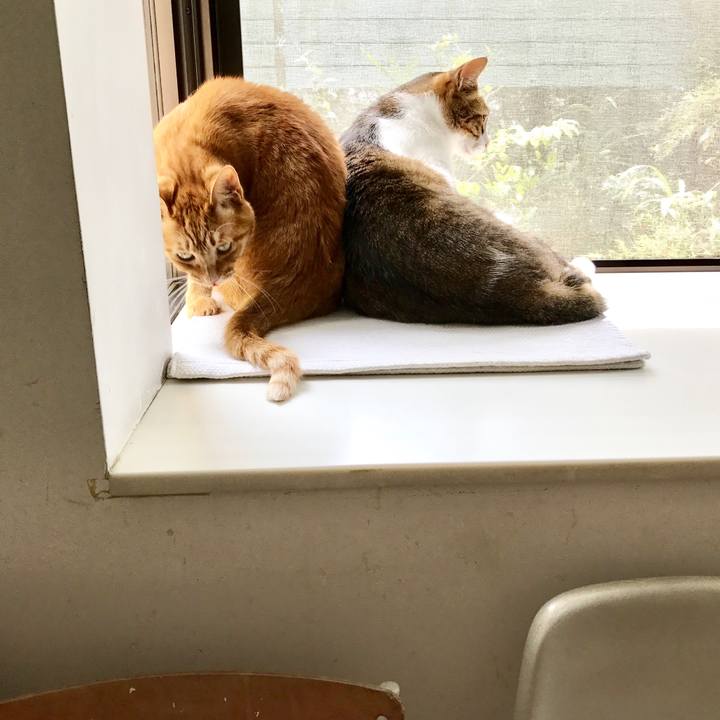 Abfce406 f786 4f48 9f5d a4d53823ab01