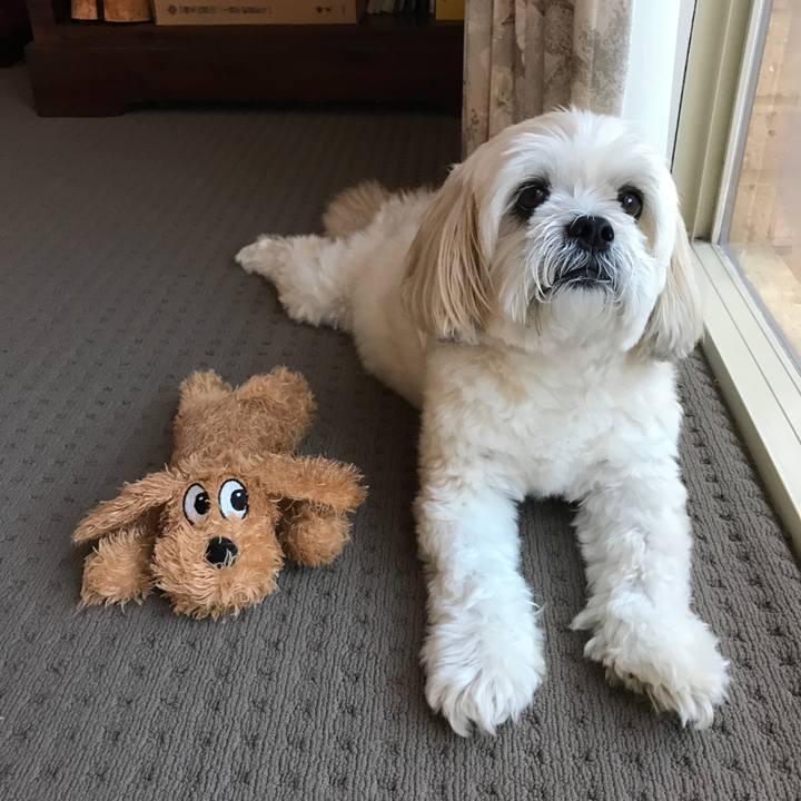 Abfd3f3b 4fc1 4bb3 a1ee 88fbf936cd8a