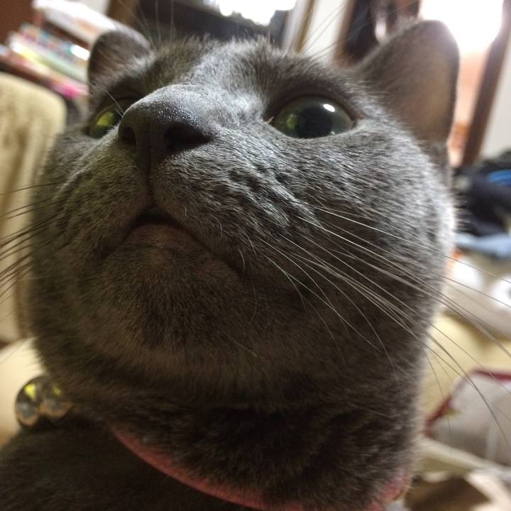 Abfd9875 b6fe 4274 88dc 67920bd62058