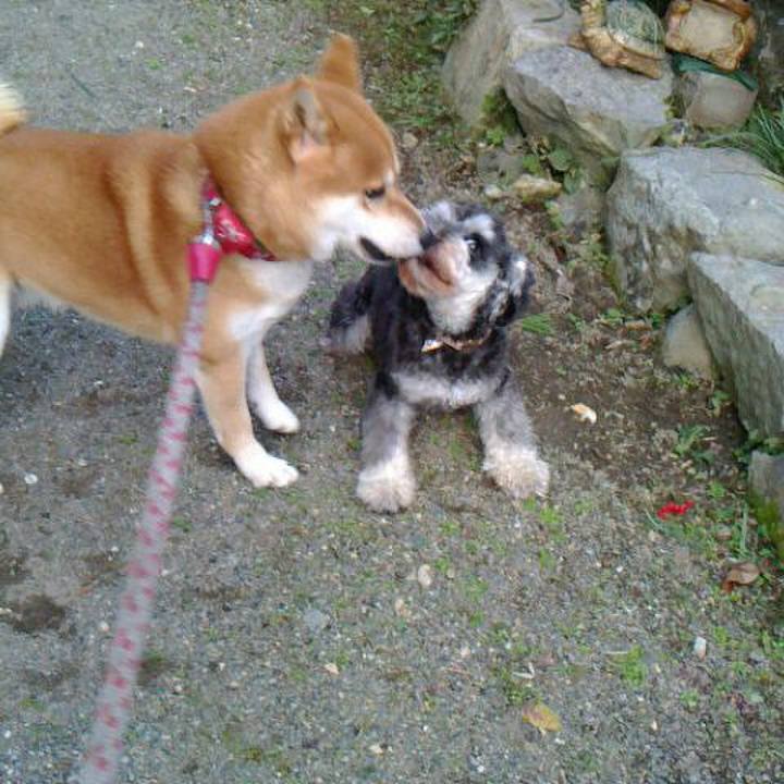 Abfe03ae 4fd4 4889 92ec c79b281debd9