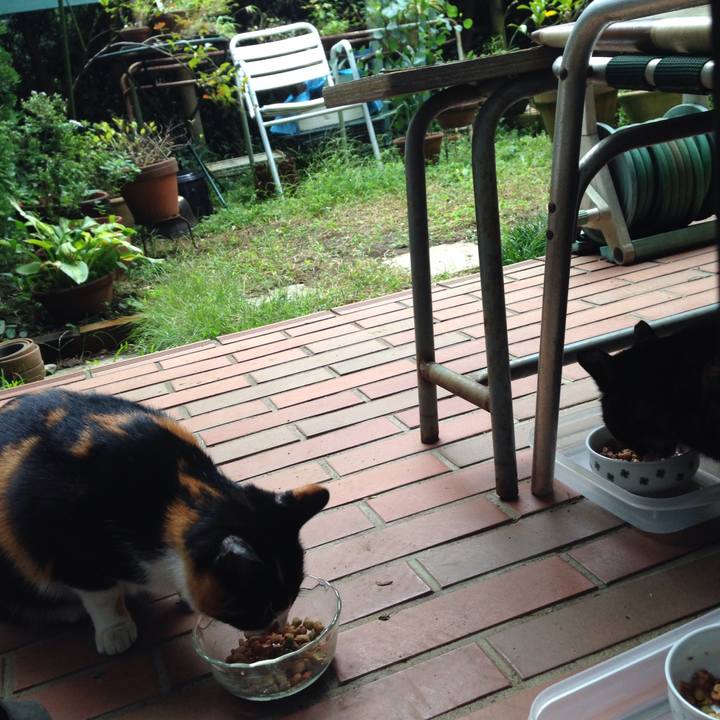 Abfe53ad 8036 4dff 83a2 80ddd6790d34