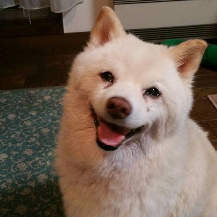 Abfedbfa 1c27 4d39 b335 4702a3caa1e2