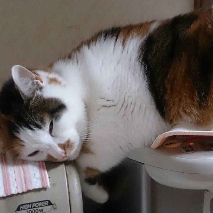 Abff2104 304f 43b6 bcdc 2e317b063799