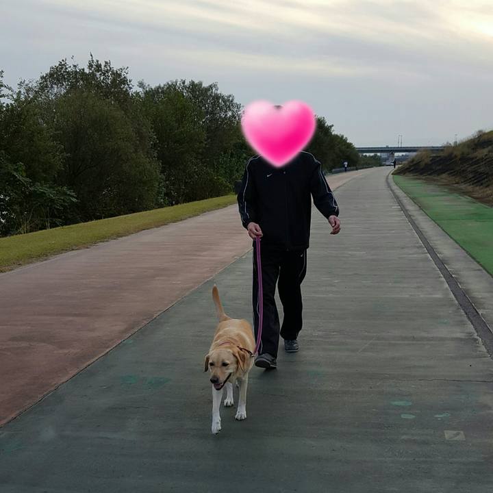 Abfffd73 8ed9 49e5 92c1 bd5939fd4110