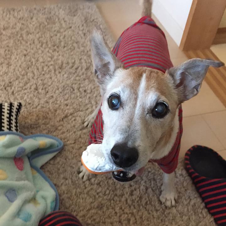 Ac000bb5 c27f 47c8 a3a0 1b6b772f3627