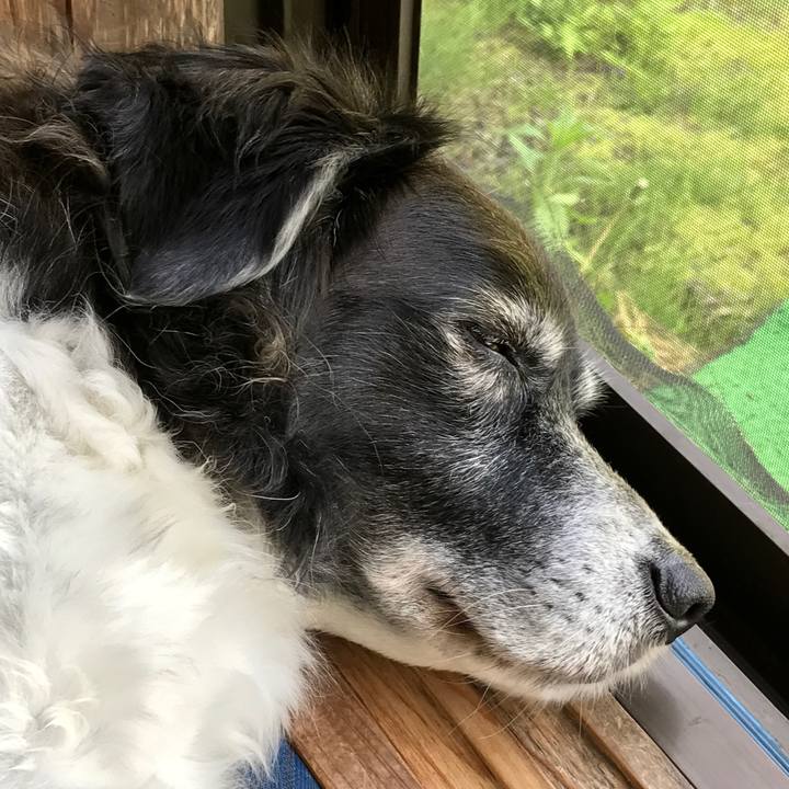 Ac00a9a8 3abd 4e5e 83f9 36c53ebf6789