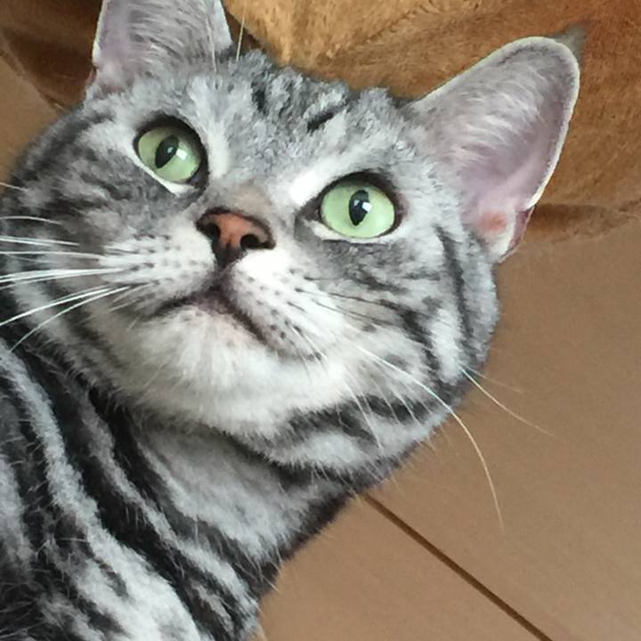 Ac0104f4 3c91 4a4b 8d54 12845965da0b