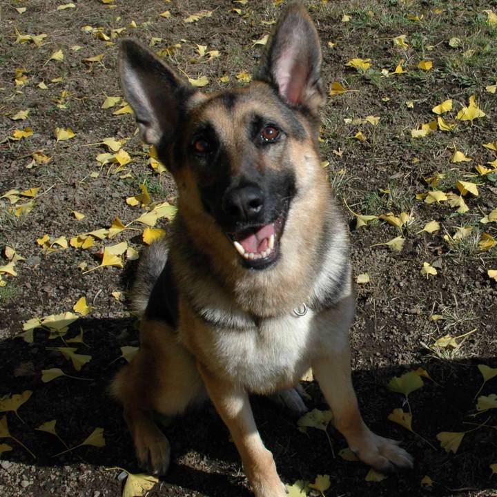 Ac019582 cea4 4ced 84a3 e722ee3a6088