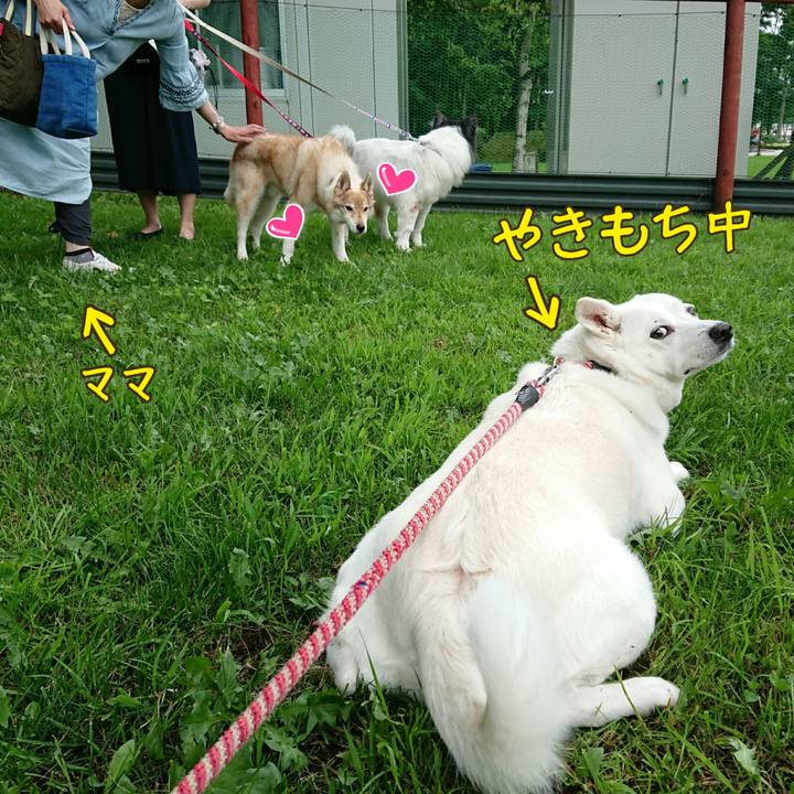 Ac01ad89 2d9d 42df b506 b1462f558d61
