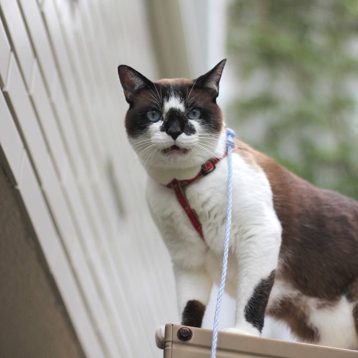 Ac01e6ef 5b2b 4be3 9fed c525f673002e