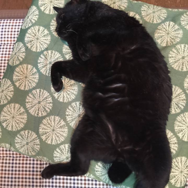 Ac021981 748c 4b27 ad74 f6b5a829b8f9